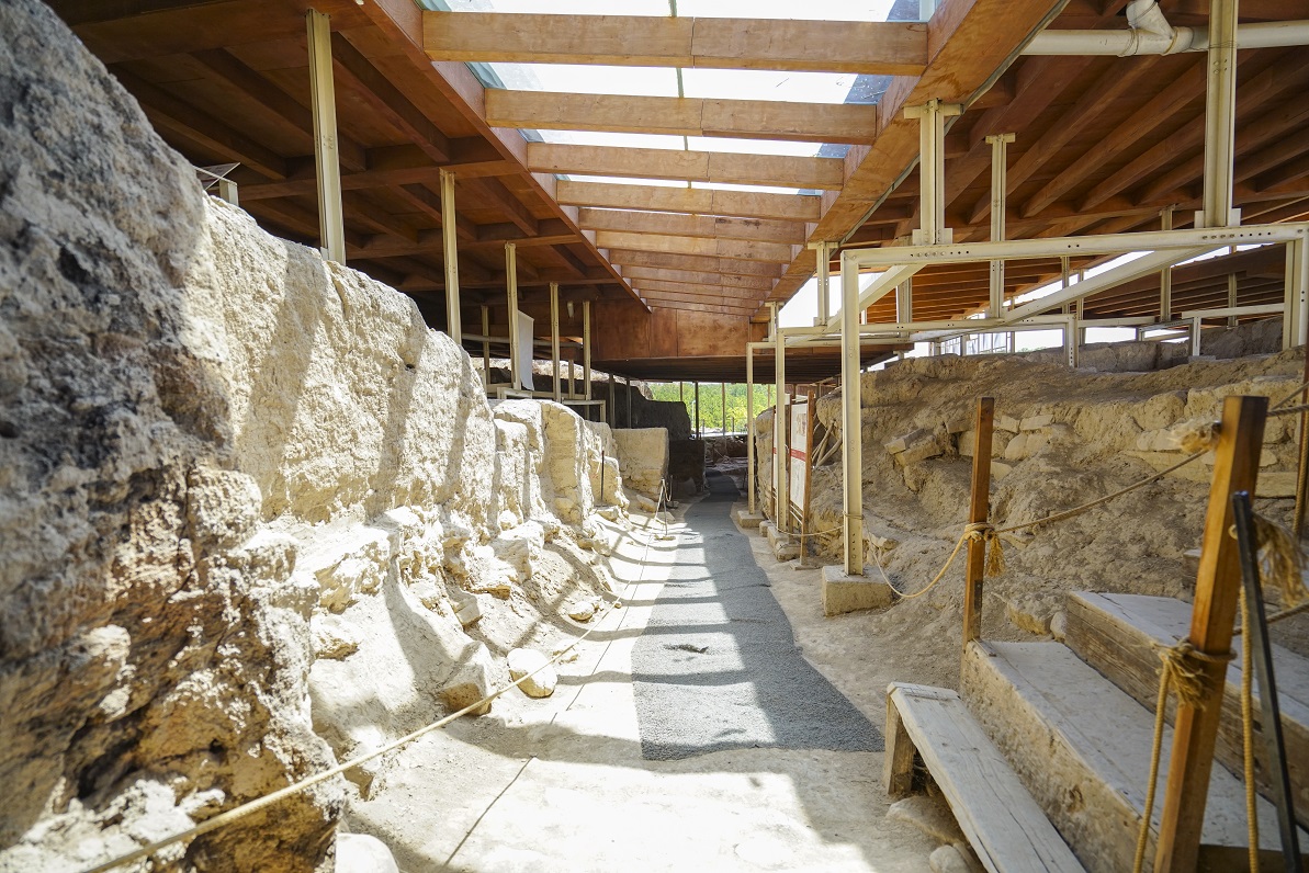 Arslantepe Höyüğü'nden taş kabartma detayı